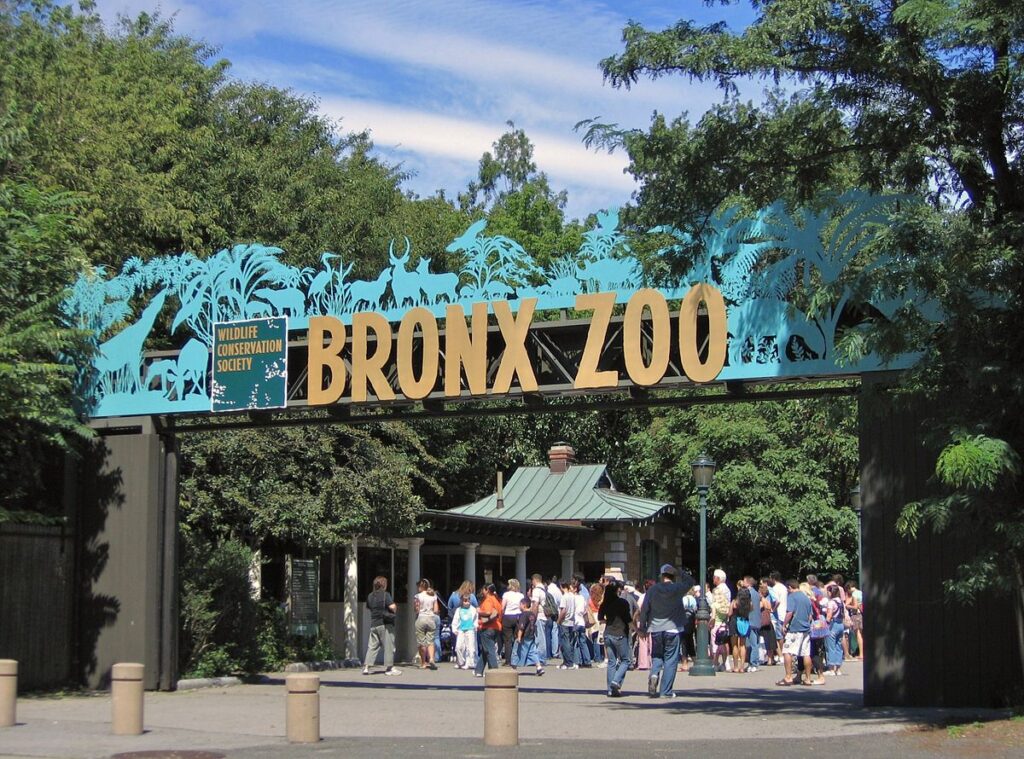 1200px Bronx Zoo 001