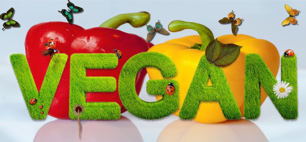 10 Reasons Why it is Cool to Be Vegan 1 vegan 1462358784pPU