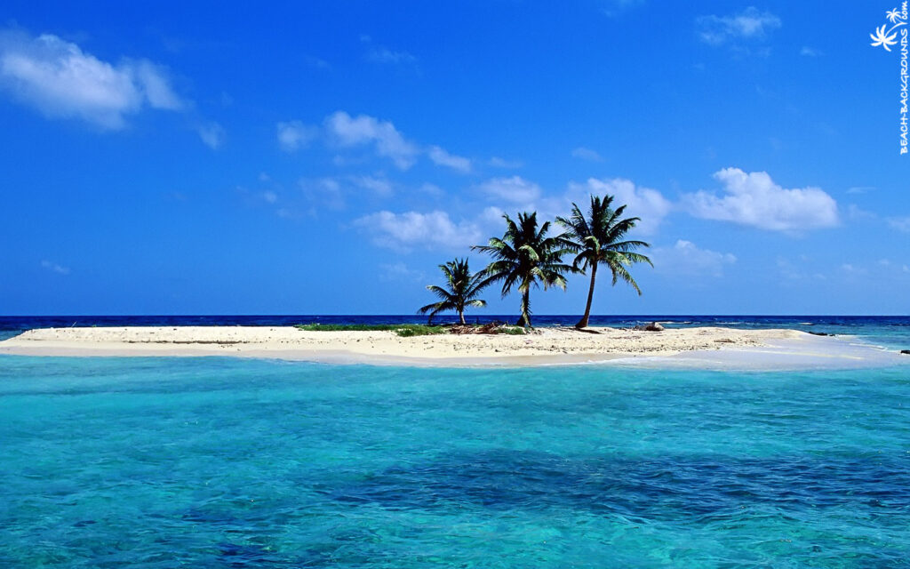 Top 5 American Beaches 11 7916123