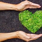 Eco Friendly Valentine's