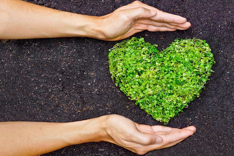 Eco Friendly Valentine's