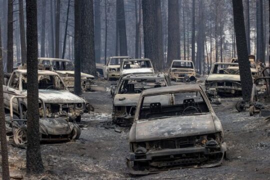 wildfire