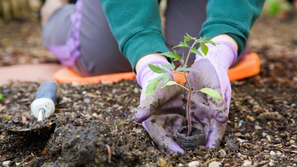 take care of plants!