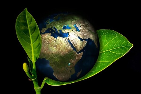 5 sustainable businesses around the globe