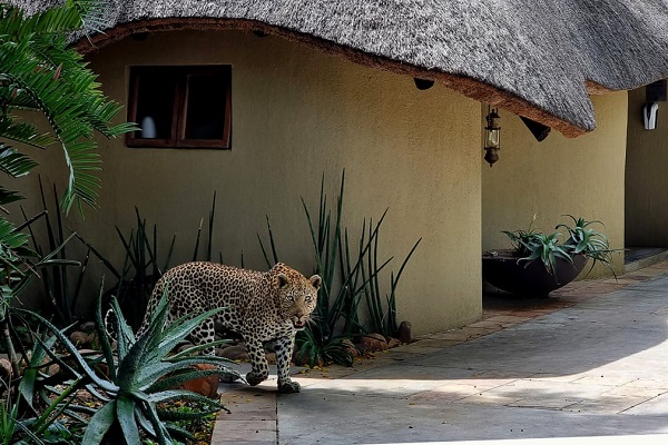 Mpumalanga-South-Africa