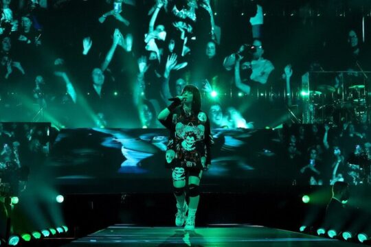 Billie Eilish stops gigs to check on fans’ safety