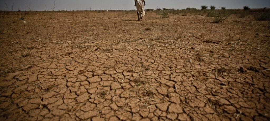 Human impact on the Degradation of Marine and Terrestrial Wildlife 1 Humans cause for degradation of marine and terrestrial wildlife