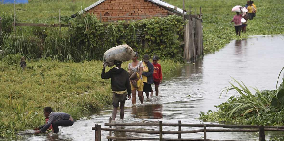 Human impact on the Degradation of Marine and Terrestrial Wildlife