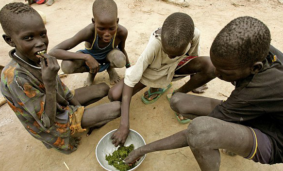 Africa The Country of Hunger Crisis4
