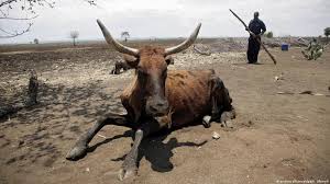 Africa The Country of Hunger Crisis5