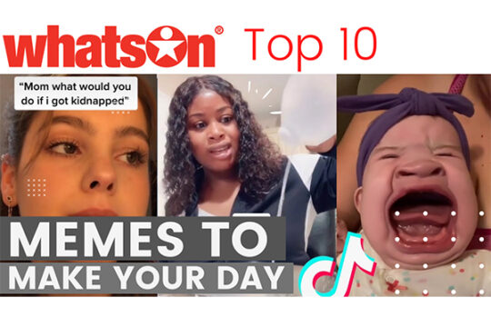 Memes: Top 10 Best Funny Memes to Make Your Day