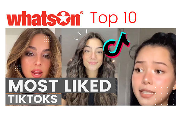 Top 10 Most Liked TikToks EVER