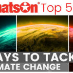 5 ways to tackle climate change