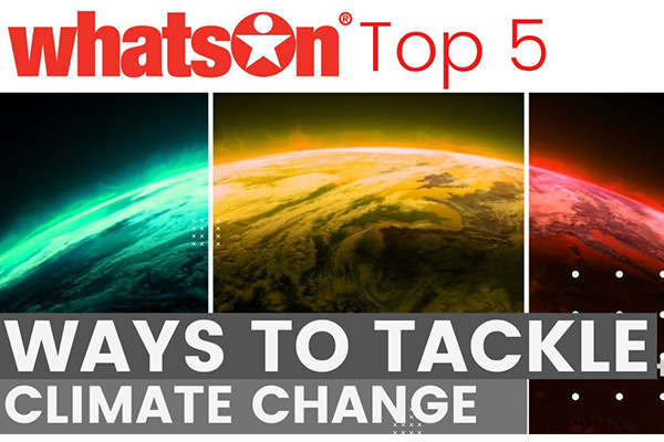 5 ways to tackle climate change