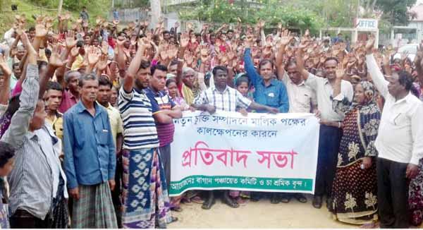 tea workers strike.jpeg 3