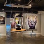 Best Art Exhibitions Ongoing this Month!
