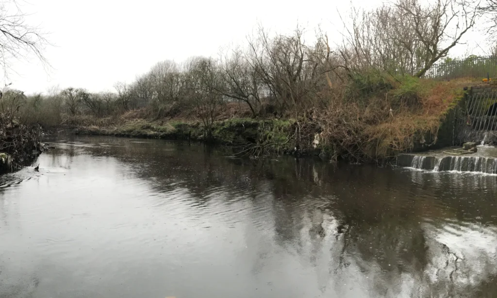 Marine Heatwave Calls for Clean Rivers, Coasts
