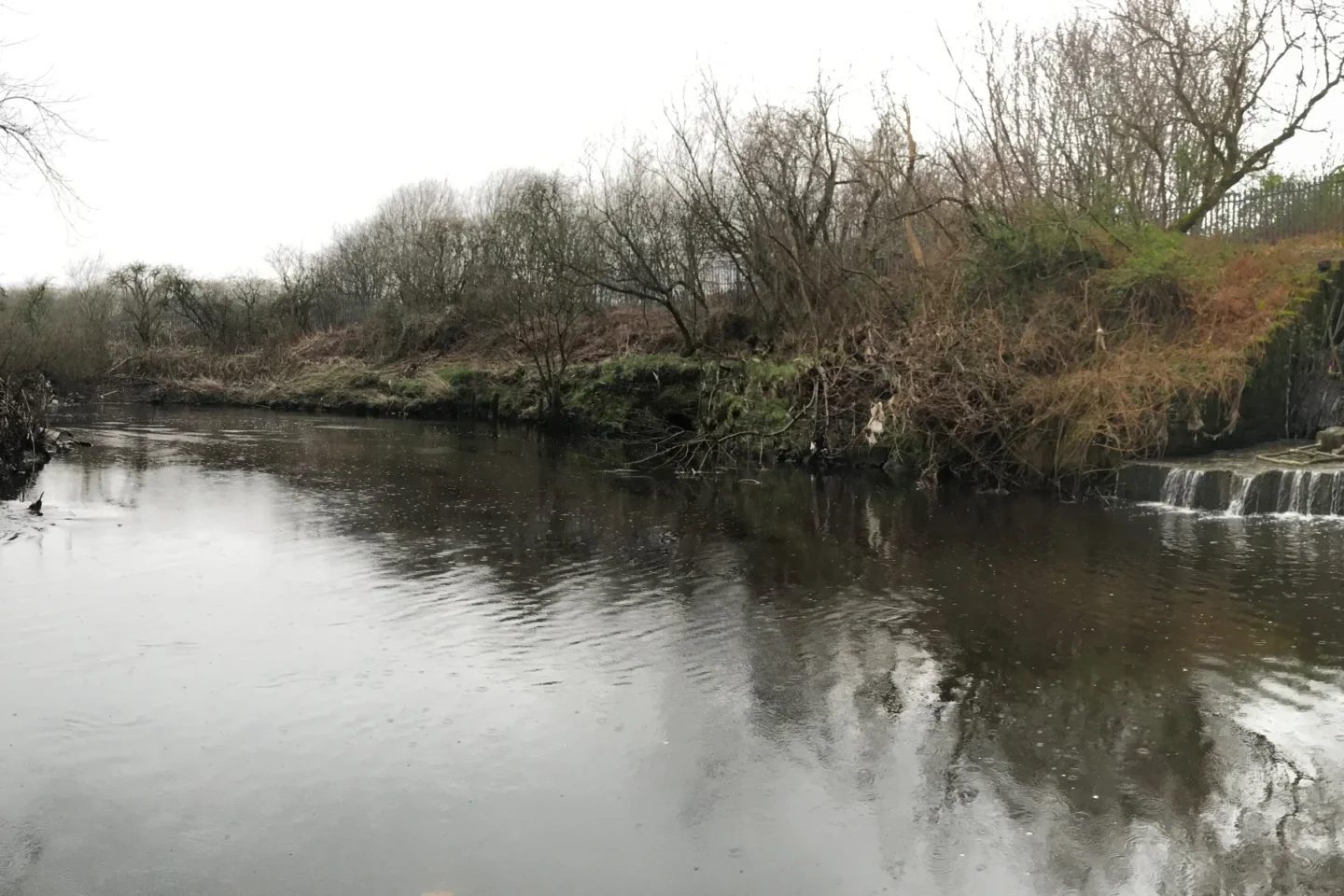 Marine Heatwave Calls for Clean Rivers, Coasts