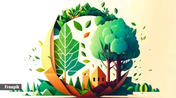 world environment