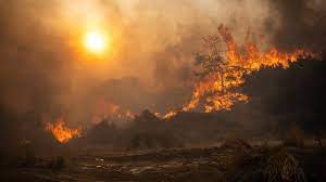 New Era of “Global Boiling” Amid Hottest Month in Human History! 1 images