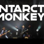 Unleash Your Inner Arctic Monkey with Antarctic Monkeys!