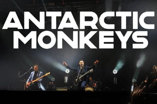 Unleash Your Inner Arctic Monkey with Antarctic Monkeys!