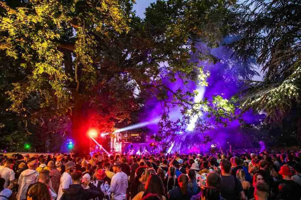 Thursday Thrills: Dive into the Summer Festival Extravaganza! 8 Hospitality In The Woods