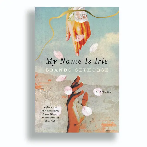 book 43