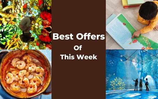 Best Offers Of This Week!
