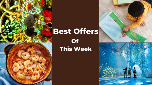 Best Offers Of This Week!