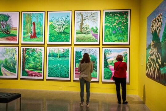 Exploring Contemporary Art 5 Must-See Exhibitions!