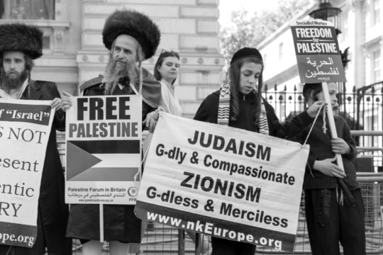 United against hate: Pro-Palestinian Jews amplify their voices