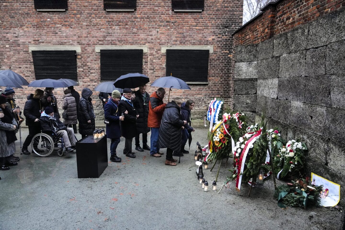 79 Years After Auschwitz: A Day of Remembrance and Reflection
