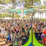 Art, Music, and Community at Transition Festival 2024