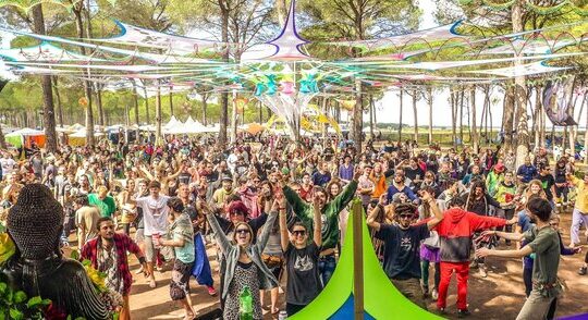 Art, Music, and Community at Transition Festival 2024