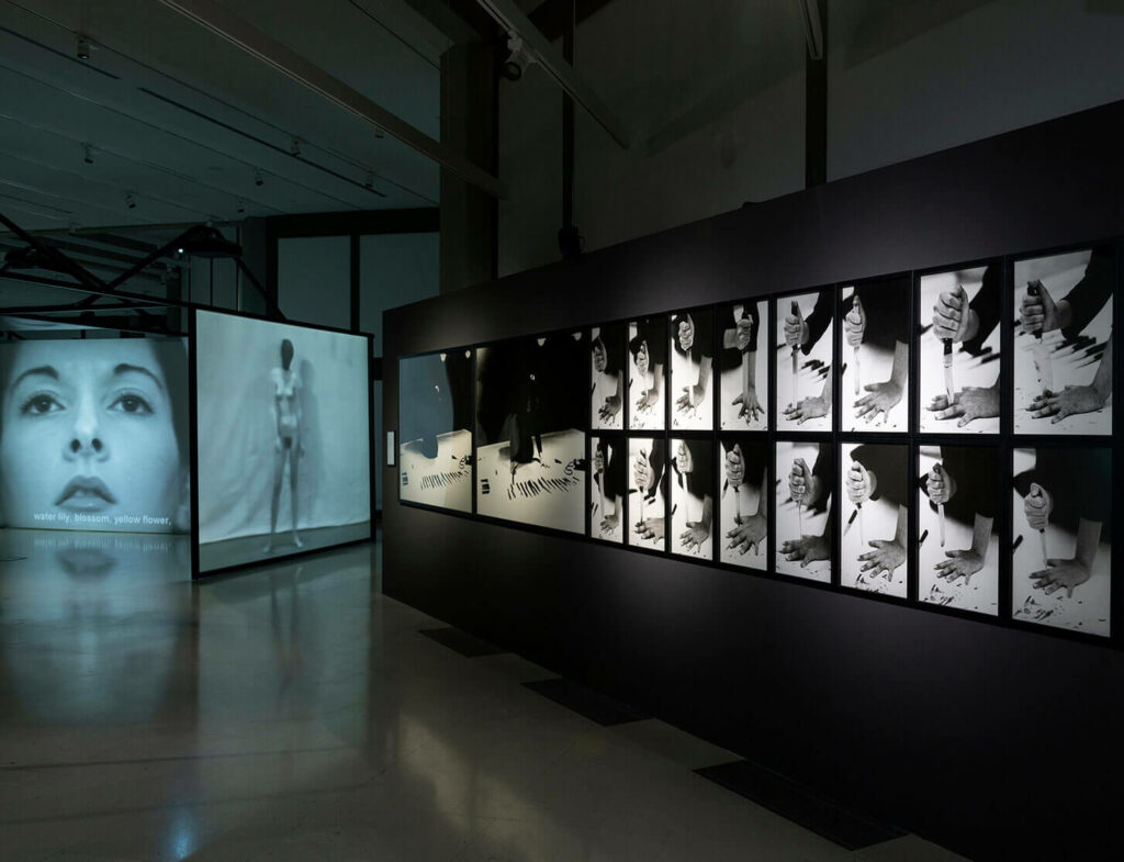 Marina Abramovic Retrospective