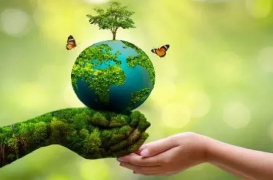 4 Ways To Do Your Bit For The Planet