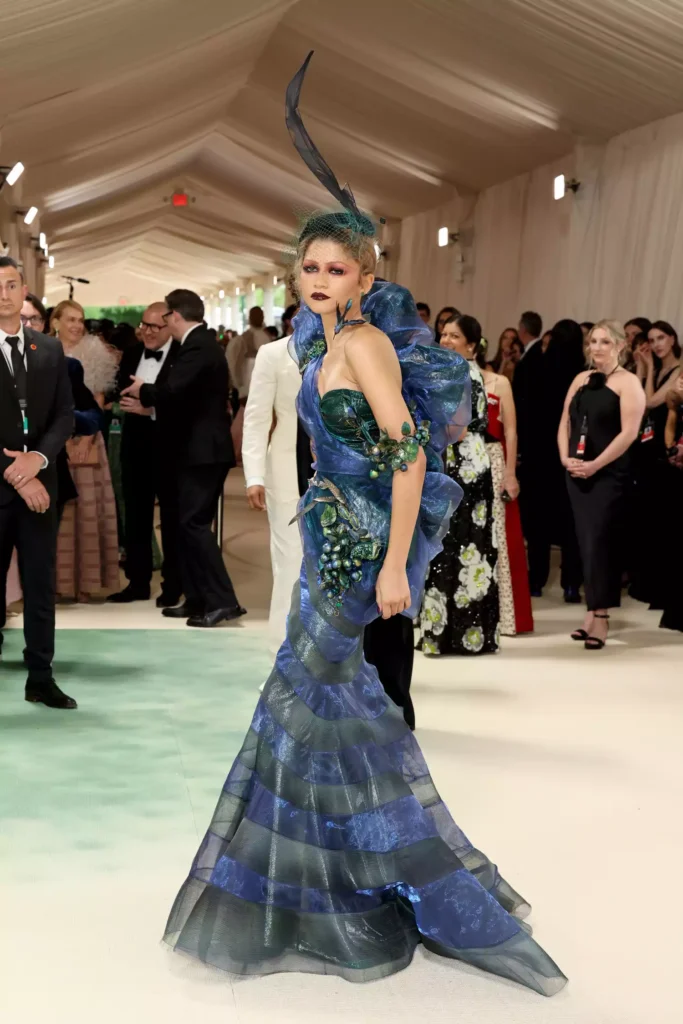 Zendaya met