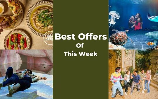 Discover London's Best Offers SEA LIFE Lates and More!