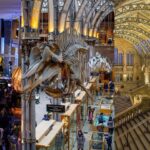 London's Top 8 Museums Tourists Treasure Troves!