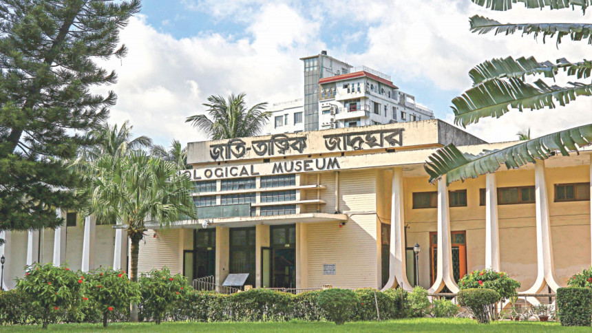 Chittagong Museum