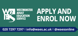 Embark on your learning journey with WAES