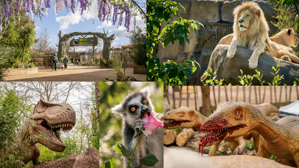 The UK’s SCARIEST Dinosaur, the INDOMINUS REX!